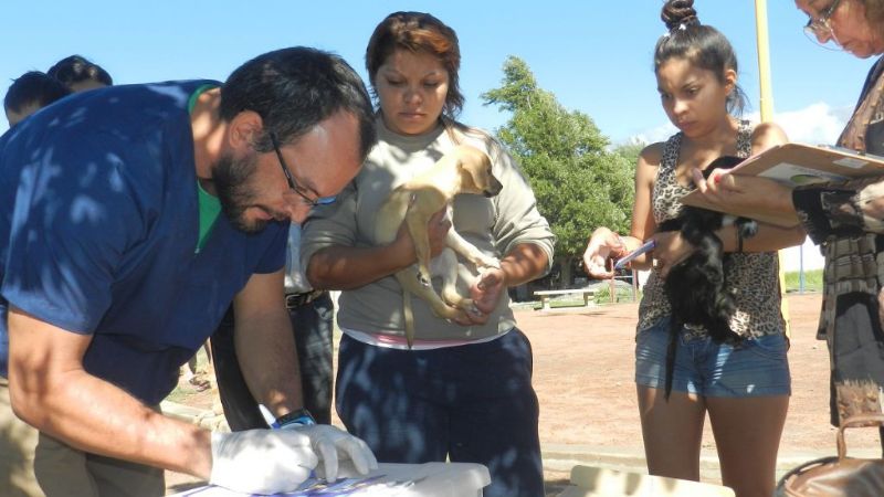 Zoonosis municipal brindó asistencia veterinaria gratuita
