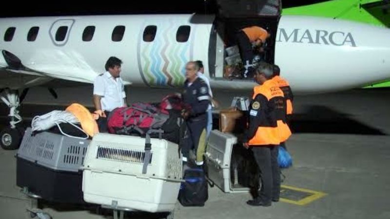 Brigada de perros especializada se sumó a la búsqueda de Carolina Sal