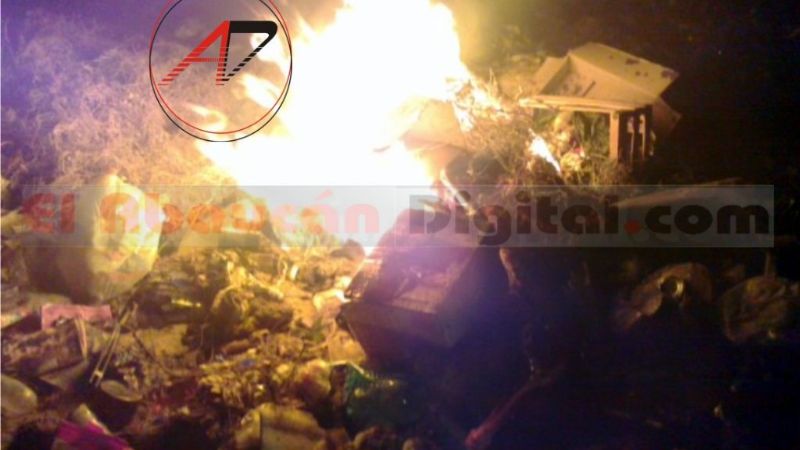 Secuestran vicuñas muertas a cazadores furtivos