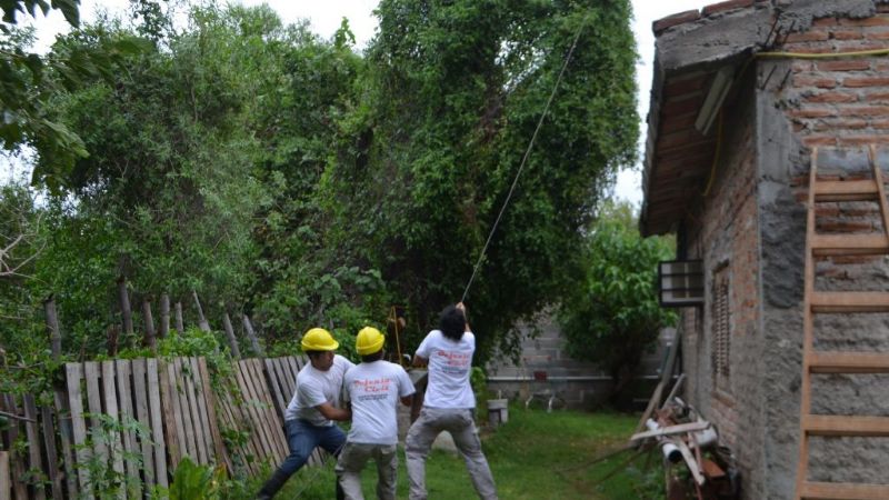 Asistencia por los daños producidos por el temporal