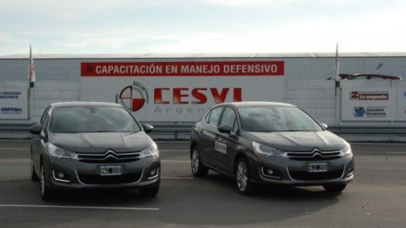 El efecto real de los vidrios polarizados
