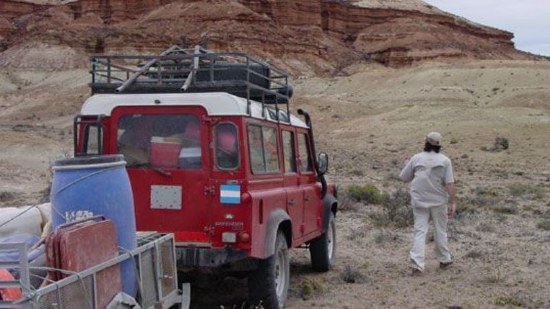 Paleontólogos argentinos descubrieron un esfenodonte enano del Cretácico