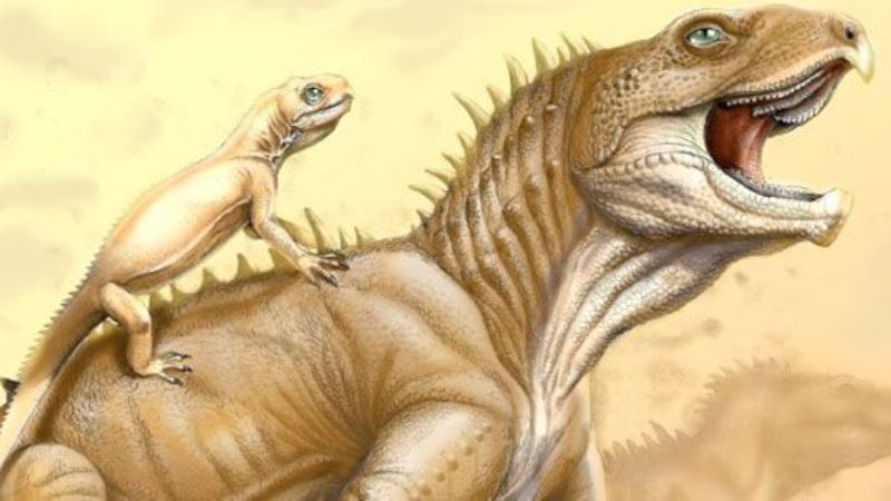 Paleontólogos argentinos descubrieron un esfenodonte enano del Cretácico