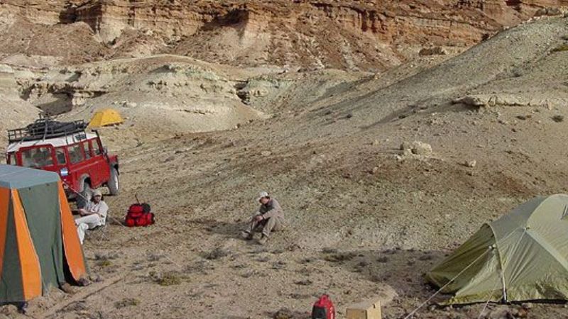 Paleontólogos argentinos descubrieron un esfenodonte enano del Cretácico