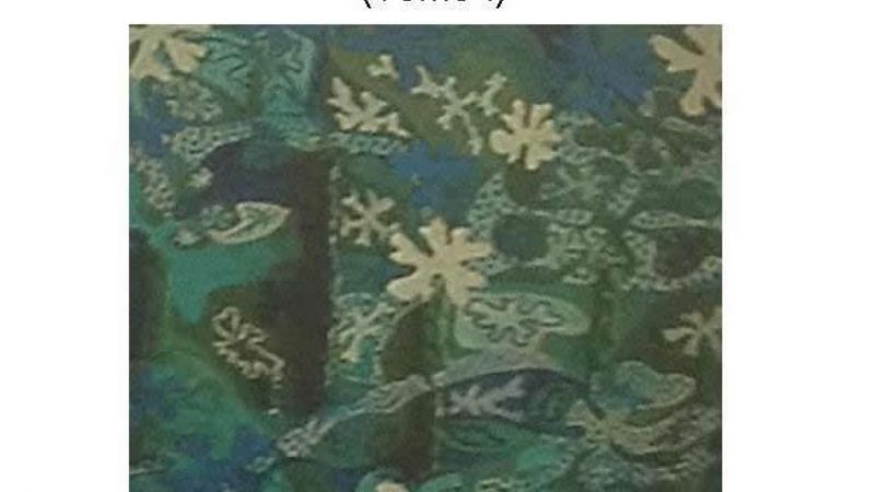 Presentan el libro "Solidaridad y Transformación del Sistema Global"