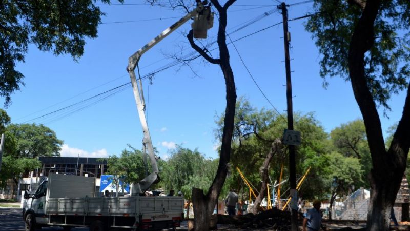 Inició la poda preventiva en Valle Viejo