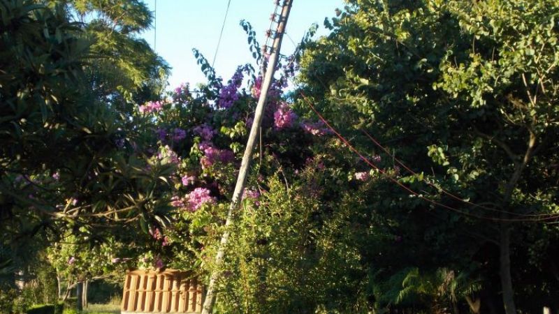 Vecinos de Los Altos preocupados por el estado de los postes