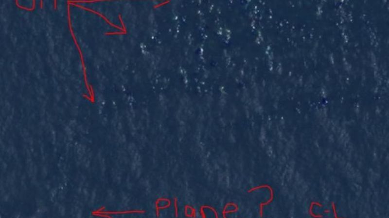 Courtney Love asegura que encontró el avión de Malaysia Airlines