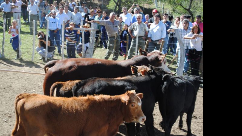 V muestra ganadera y IV feria artesanal de Balcozna