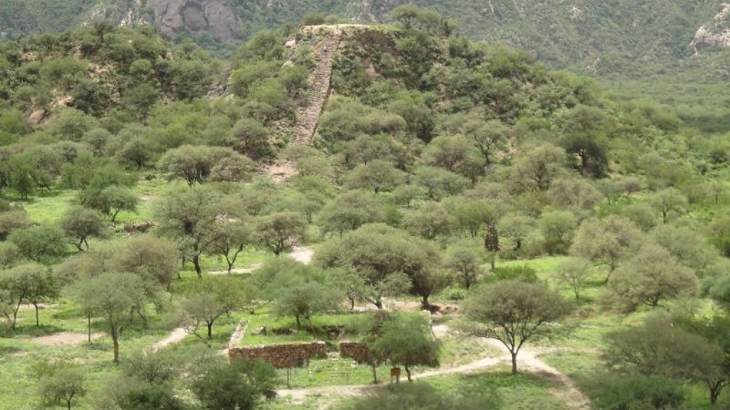 Charla sobre El Shincal