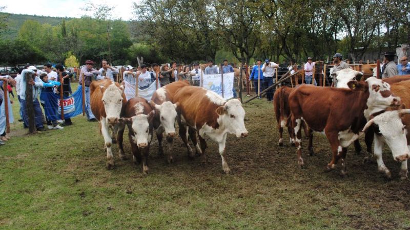 “Esta muestra es un reflejo del trabajo interinstitucional”