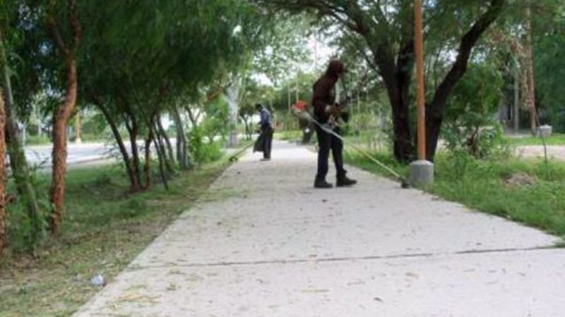 Trabajos en la bici-senda
