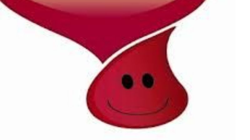 Colecta de sangre en Vialidad Provincial