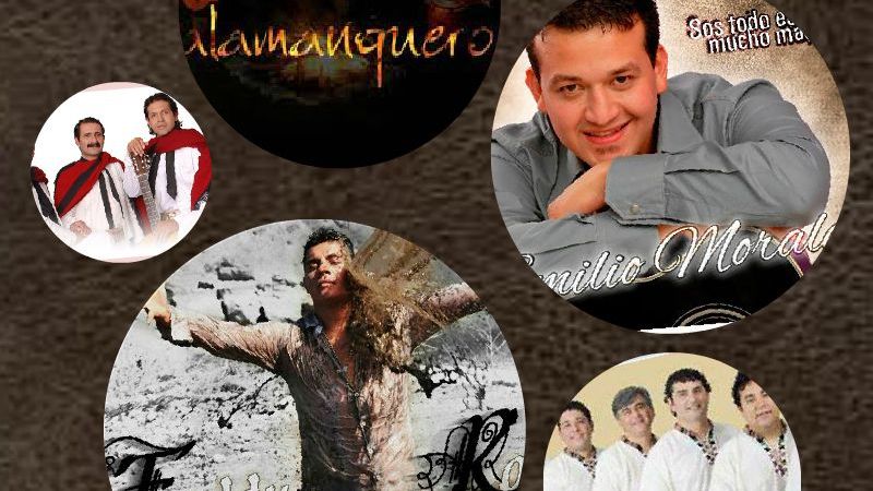 1º Festival Solidario en Los Altos