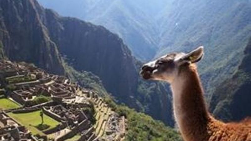 Por Semana Santa, proyecciones martes y miércoles