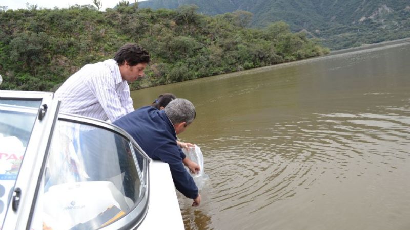Ambiente realizó la siembra de OVAS de Pejerrey en Motegasta, Ipizca y Pirquitas