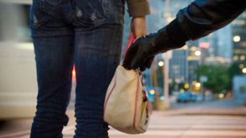 Dos ladrones arrebataron una cartera y fueron linchados por vecinos