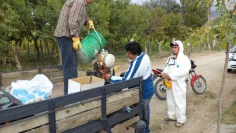 Tareas de fumigación en Santa María