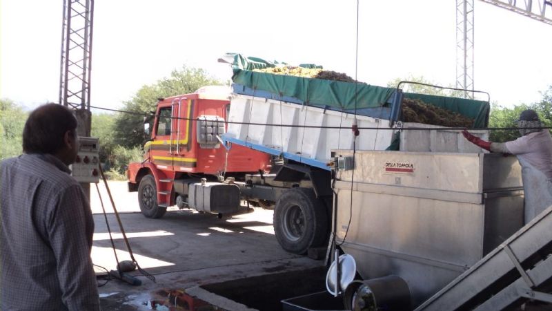 "La operatoria vitícola nos alienta a continuar produciendo más y mejor"