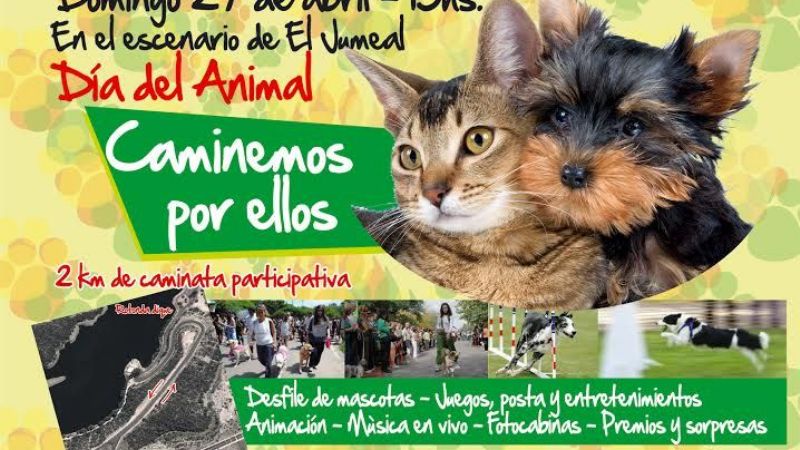 Atletas corren en Anquincila, Ancasti