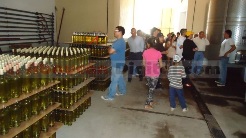 Otro fin de semana turísticamente muy positivo para Fiambalá