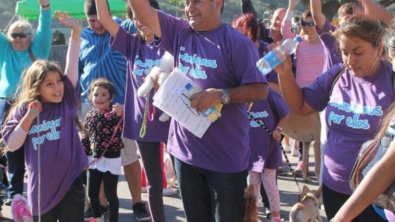 Más de 200 mascotas participaron de jornada “Caminemos por ellos”