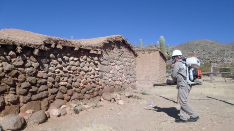 Numerosas actividades de “El municipio en tu barrio”