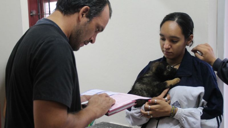 Cuidando a tu mascota, nos cuidamos todos