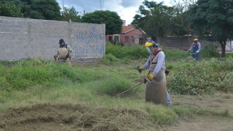 Trabajo de limpieza en el barrio La Antena