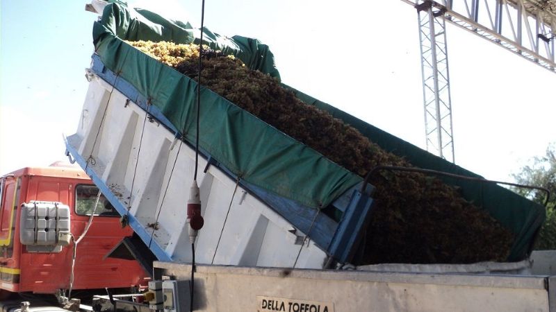 Comenzó oficialmente la operatoria vitícola en Santa María