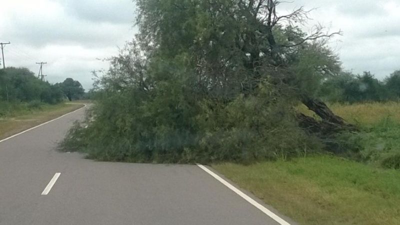 Ya se puede transitar por las rutas nacionales  Nº 38 y 64