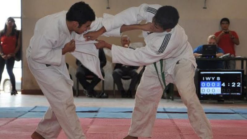 JUDEJUT “Chile 2014”, postergados