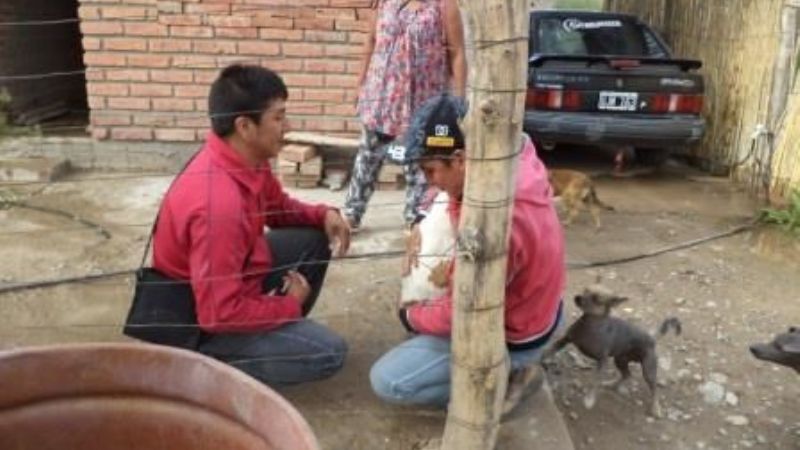 Vacunación antirrábica y desparasitación