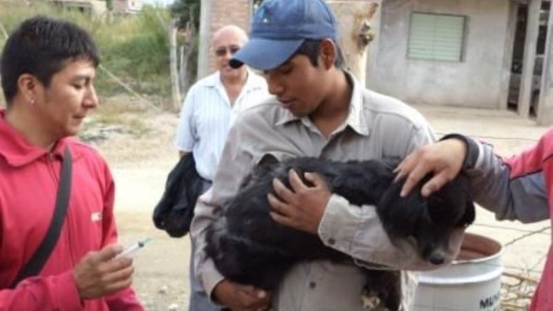 Vacunación antirrábica y desparasitación