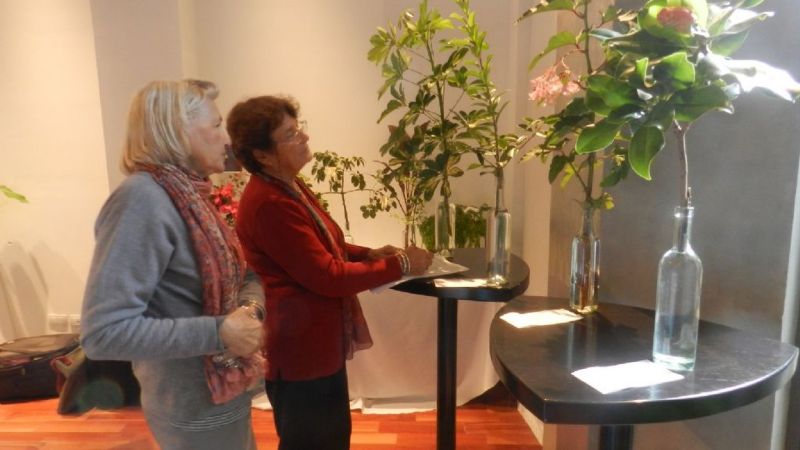 Presentación de diseños sumergidos del grupo “La Bignonia”