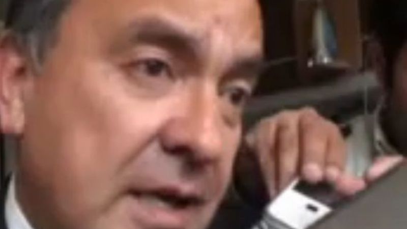 Moreno celebró las PASO