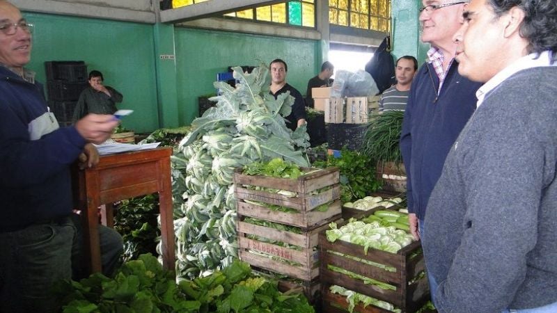 Producción evalúa alquilar cámaras de frío