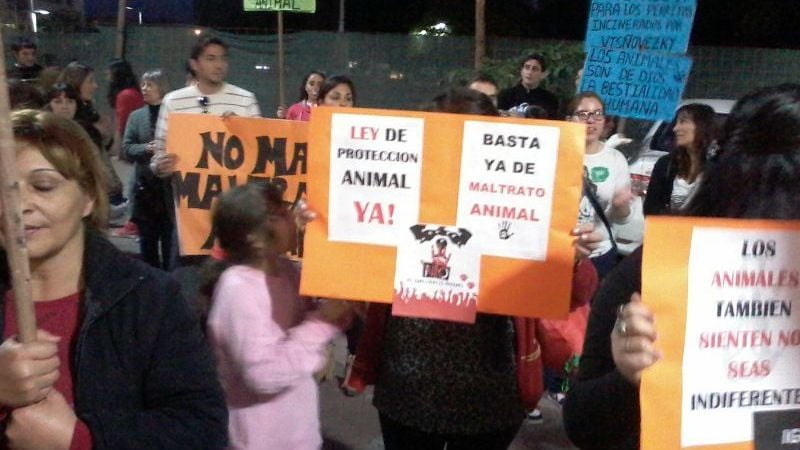 Convocante marcha en defensa de los animales