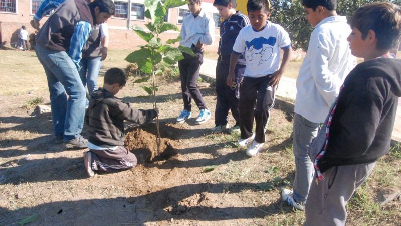 Reforestación en la escuela Parque América
