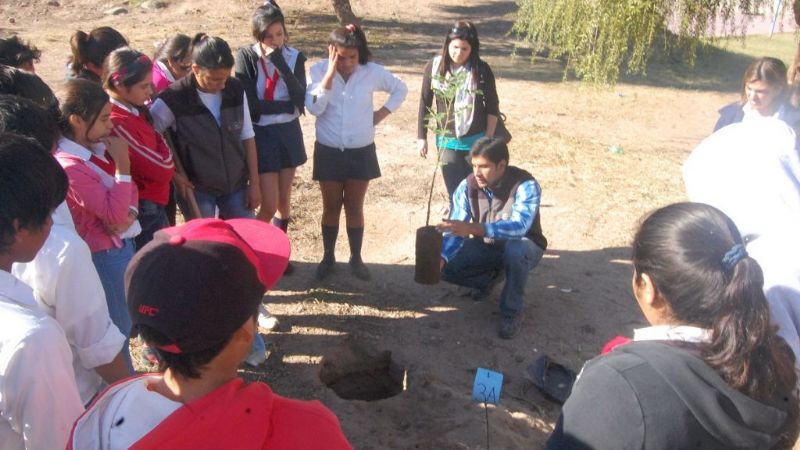 Reforestación en la escuela Parque América