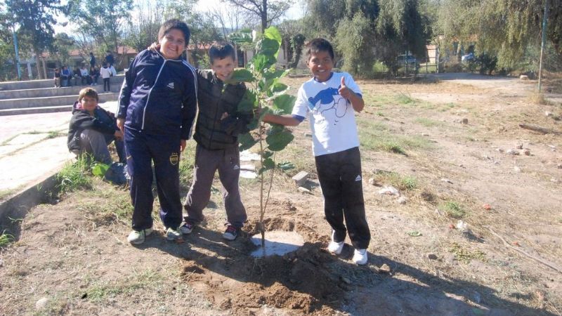 Reforestación en la escuela Parque América