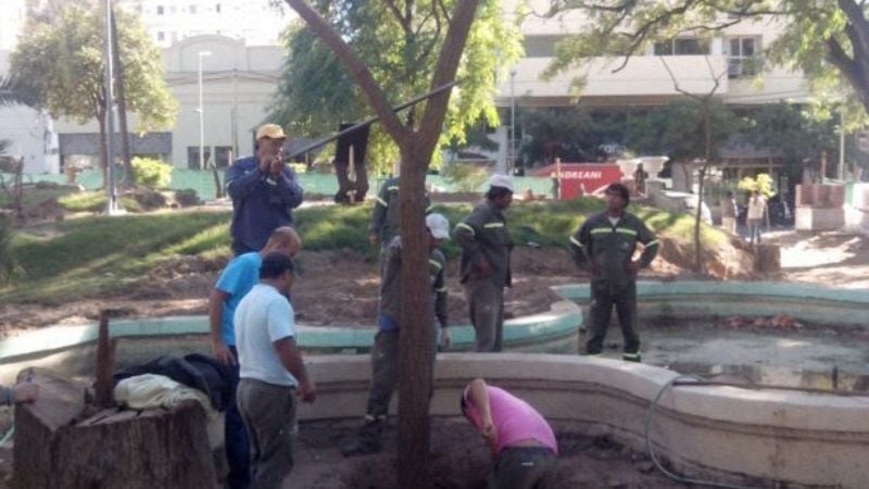 Se plantaron dos Ibera Pitá y tres Ceibos en Plaza 25 de Mayo