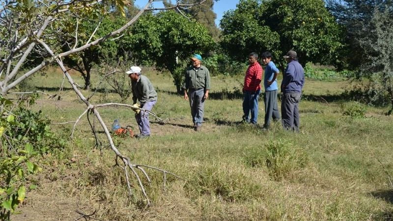 Activan la construcción del vivero municipal de Valle Viejo