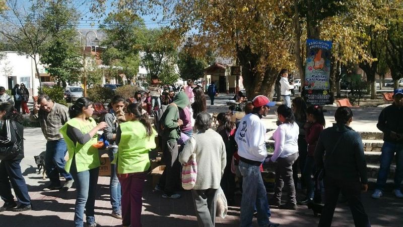 La Asociación “Patitas Calchaquíes” continúa cuidando a los animalitos abandonados