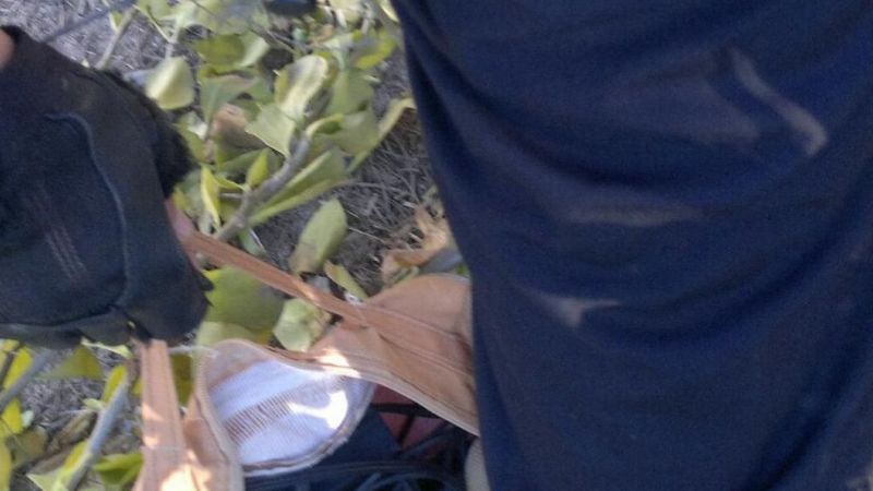 Violento asalto a plena luz del día