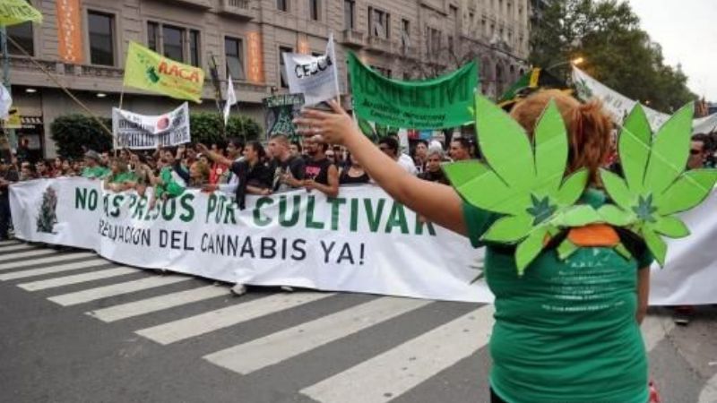 Miles de personas reclamaron la legalización de la cannabis