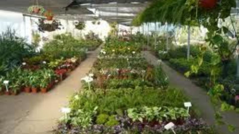 Inscripción obligatoria y gratuita de viveros