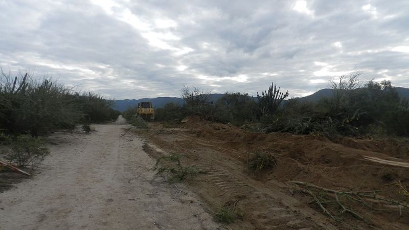 Continúa la apertura de calles en loteo “Portal del Norte”