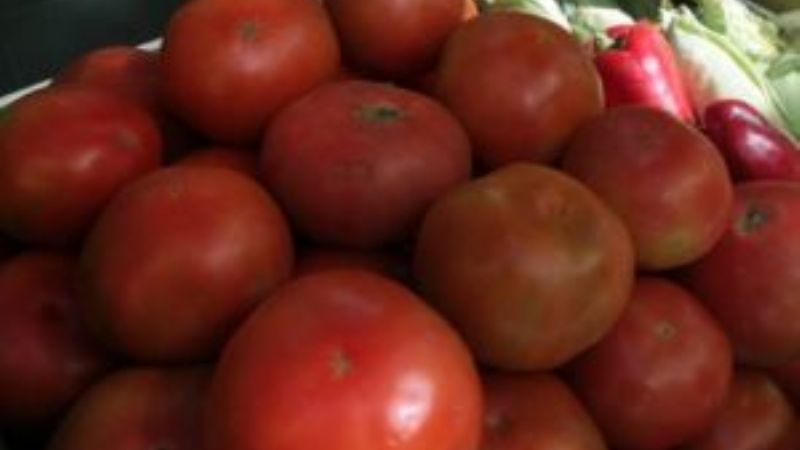 Sugieren reducir consumo de tomate por cuestiones estacionales