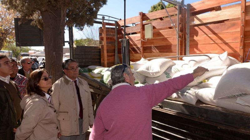 Productores recibieron casi medio millón de pesos por la venta de nuez y pimiento